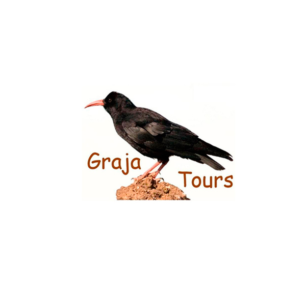 Graja Tours